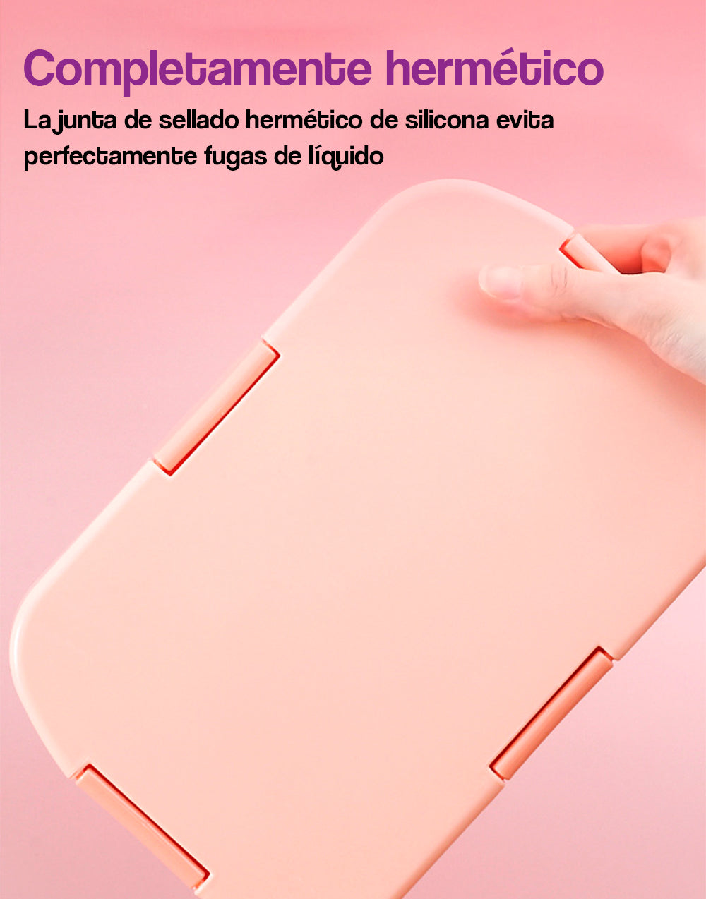 Contenedor con compartimientos