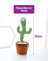 Cactus bailarín