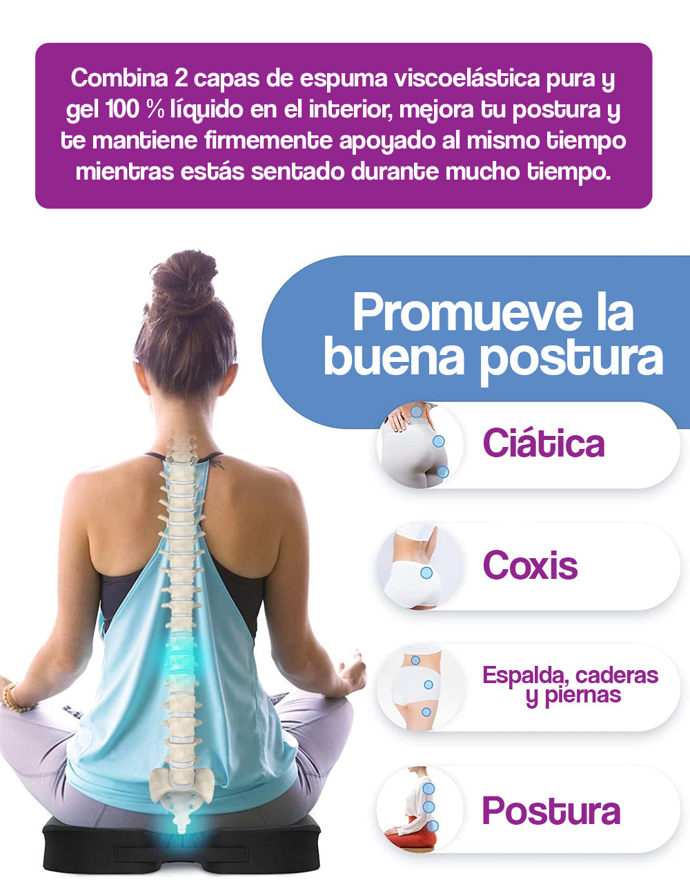 Asiento de cojín